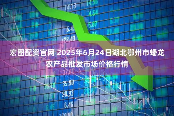 宏图配资官网 2025年6月24日湖北鄂州市蟠龙农产品批发市场价格行情