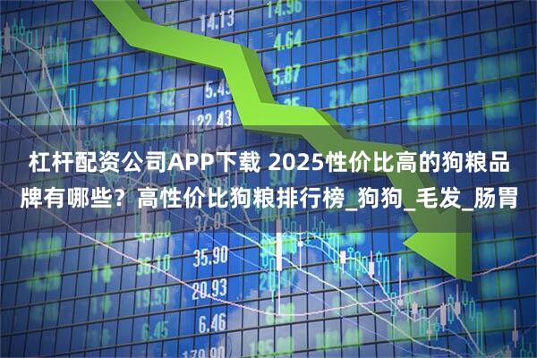 杠杆配资公司APP下载 2025性价比高的狗粮品牌有哪些？高性价比狗粮排行榜_狗狗_毛发_肠胃