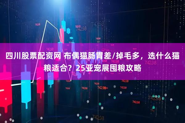 四川股票配资网 布偶猫肠胃差/掉毛多，选什么猫粮适合？25亚宠展囤粮攻略