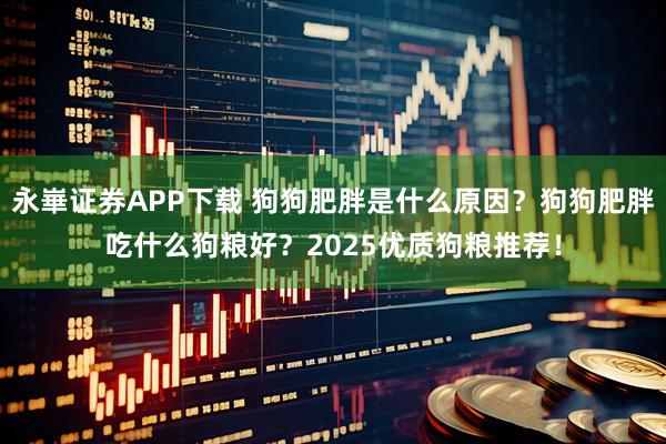 永崋证券APP下载 狗狗肥胖是什么原因？狗狗肥胖吃什么狗粮好？2025优质狗粮推荐！