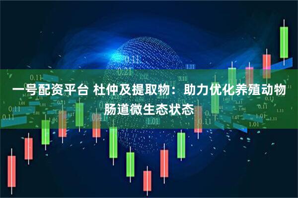 一号配资平台 杜仲及提取物：助力优化养殖动物肠道微生态状态