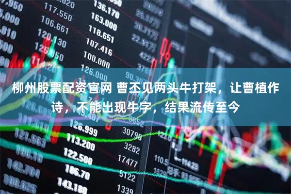 柳州股票配资官网 曹丕见两头牛打架，让曹植作诗，不能出现牛字，结果流传至今