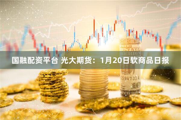 国融配资平台 光大期货：1月20日软商品日报