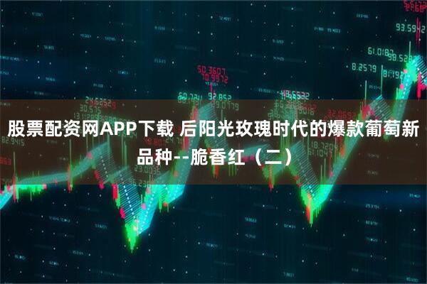 股票配资网APP下载 后阳光玫瑰时代的爆款葡萄新品种--脆香红（二）