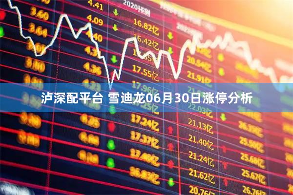 泸深配平台 雪迪龙06月30日涨停分析
